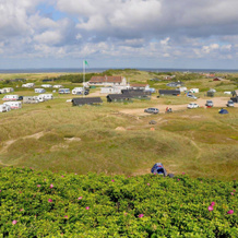 Dancamps Holmsland, Hvide Sande — photo 5