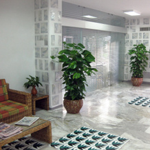So' Lifestyle Hotel Sorrento, 索伦托 — 照片 2