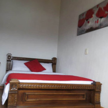 Hotel Zocalo Campestre, 瓜塔佩 — 照片 2