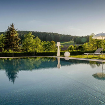 Spa-Parkhotel Reibener-Hof, Концелл — фото 2