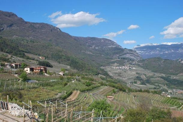 Agritur Le Pergole, Villa Lagarina — photo 1