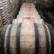 Shaloshvili's Cellar Hotel, 希尔达 — 照片 5
