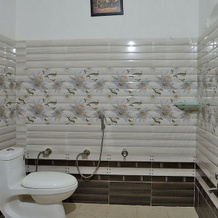 Sadanira Resort, Udaipur — photo 5