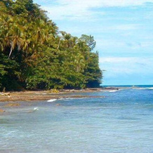 Cabinas Rocamar Playa Bonita, 利蒙 — 照片 5