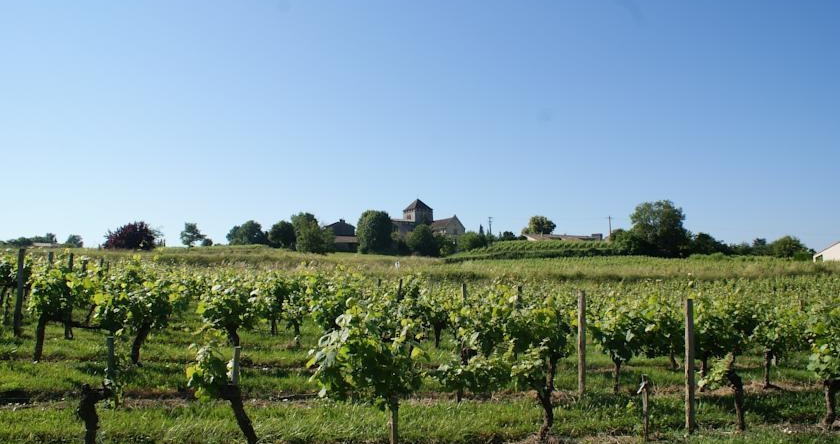 Château Croix Beauséjour, 皮塞甘 — 照片 1