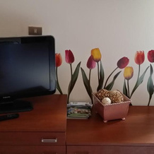 B&B il Tulipano, Rogliano — photo 4