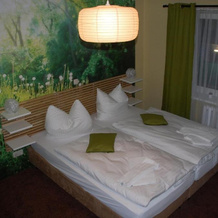 Casilino Hotel A24 - Wittenburg, Wittenburg — photo 3