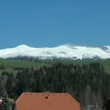 Gasthof-Pension Neumarkterhof, 诺伊马克特 — 照片 4