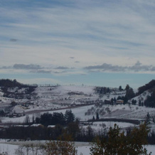 Agriturismo Ca' Bertu', Castello di Serravalle — photo 5