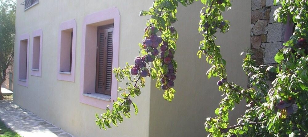 Domenique Vacances, Tanaunella — photo 1