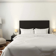 Best Western Campanario, 托卢卡 — 照片 4