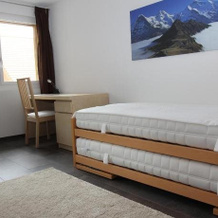 Swiss Lakeview Apartment, Беатенберг — фото 5