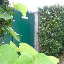 AZORES HOLIDAYS HOUSE -B&B - Suites - Self Check-in KEYBOARD, 蓬塔德尔加达 — 照片 3