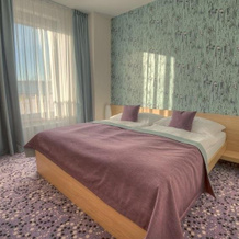 Hotel Vinice Hnanice, 赫纳尼采 — 照片 4