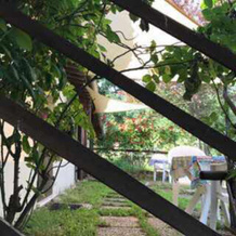 Agriturismo Colleciglio, 贾诺-德尔翁布里亚 — 照片 5