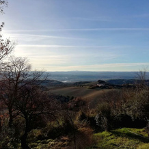 Casale La Pietra Gialla B&B, Lugnano in Teverina — photo 4