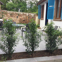 Maison cosy complètement rénovée, Gertwiller — photo 3
