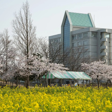 Hotel Sun Rural Ogata, Носиро — фото 4