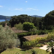Domaine Du Golfe De St Tropez, Grimaud — photo 4