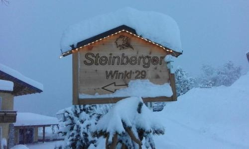 Ferienwohnung Steinberger, Бишофсхофен — фото 1