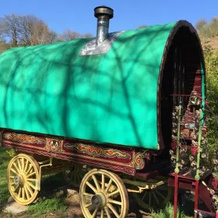 Wriggles Brook Gypsy B&B, 霍尔维蒂 — 照片 3