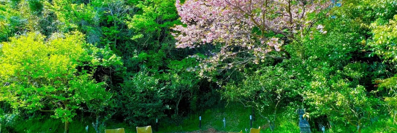 Inashiki no Ie - Vacation STAY 35130v, 稻敷 — 照片 1