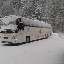 Alphof, Kirchdorf in Tirol — photo 5