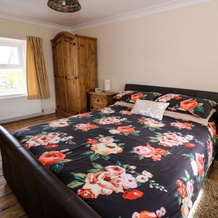 Cozy Cwtch Cottage, Llandyfriog — фото 4