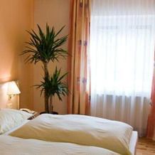 Stadthotel Eggenburg, Эггенбург — фото 4