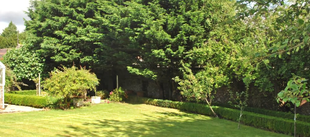 The Cottage at Deerleap, Rowlands Castle 57607, 罗兰兹卡斯尔 — 照片 1