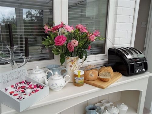 Lilac Tree Lodge B & B, Баттл — фото 1