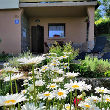 Apartment Stipčić-Mrežnički Brig, Ogulin — photo 4