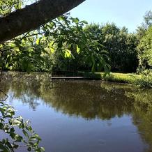 Billund Holiday - Assengaard B & B, 吉韦 — 照片 5
