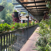 Dippys the boutique hotel, Kasauli — photo 2