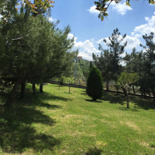 L'Albero d'Oro, Flumeri — photo 5
