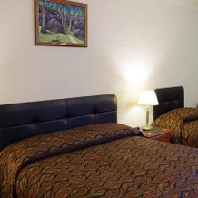 Stannum Lodge Motor Inn, 斯滕托普 — 照片 4