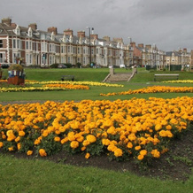 Seafront Apartments, Норт-Шилдс — фото 4
