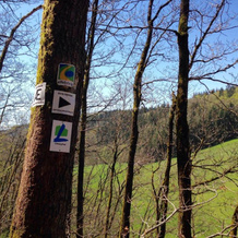 Fewo Vulkaneifel, Tettscheid — photo 5