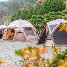 Dorothy's Forest Pension, Gapyeong — photo 5