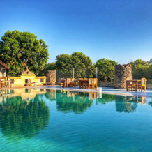 Gir Lions Paw Resort with Swimming Pool, 萨赞 — 照片 4