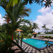 Green Palace Ayurveda Resort, 查姆帕库拉姆 — 照片 4