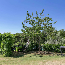 Spacious Farmhouse in Ficulle with Swimming Pool, Ficulle — photo 4