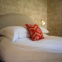 Swan Inn, Суинбрук — фото 3