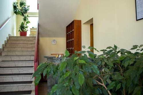 Motel Bor, Travnik — photo 1