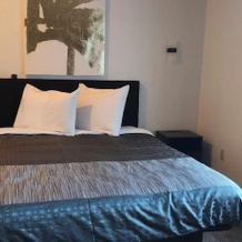 The Enchanted Suites & Residence, 罗斯韦尔 — 照片 4