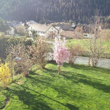 Ferienwohnung Grieder Scuol, Scuol — photo 2