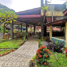 Wisma Leuser Sibayak, Букит Лаванг — фото 4