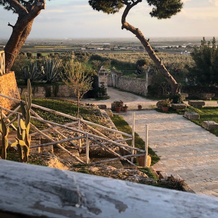 Masseria Rocca Pampina, Моттола — фото 4