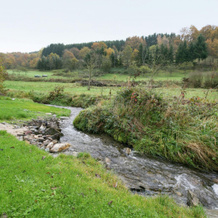 Lavish Apartment in Merschbach near Forest, Merschbach — photo 4