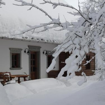 Farm Stay Dolinar Krainer, Блед — фото 3